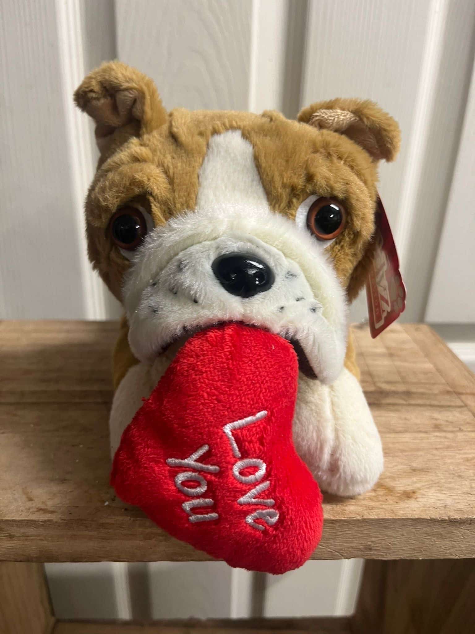 dog with love
